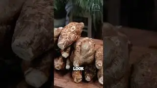 Kudzu: invasive processed into edible