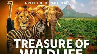Wildlife in Northern Kenya: From Forest to Desert | Amazing Nature Documentary 2025
