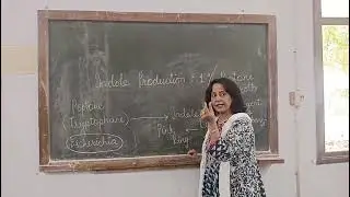 INDOLE PRODUCTION IN 1% PEPTONE MECHANISM F.Y. Prac Microbiology