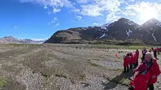 Fortuna Bay South Georgia 26th December 2025 #5