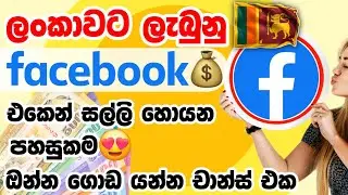 Facebook එකෙන් ලංකාවට සල්ලි😍 | facebook monetization srilanka | SL Academy