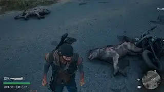 Days Gone * Accampamento nascosto di Berley Lake *