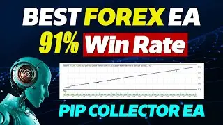 Profitable Forex EA With 91% Win Rate | Pip Collector EA