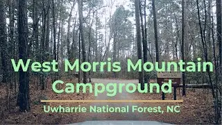 West Morris Mountain Campground | Uwarrie National Forest