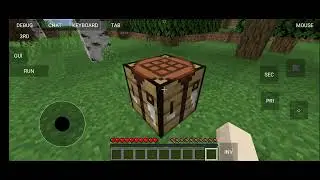 Today I play Minecraft java edition 