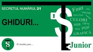 InDesign - PREFERINȚE - Ghiduri