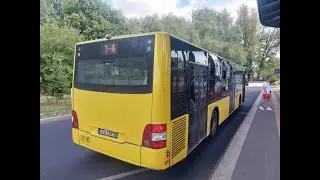 ZTM Katowice (PKM Świerklaniec) @ MAN NL323 Lion's City #1216, Linia T-6