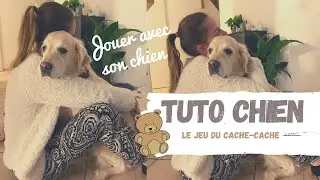 TUTO CHIEN - Jeu du Cache-Cache