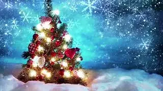 Colaj cele mai frumoase Colinde de Craciun🎄🎄🎄  Denisa 🎄🎄🎄