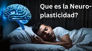 Sabes lo que es la Neuro-plasticidad y que importancia tiene ?