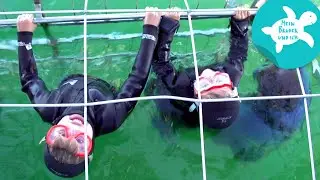 Mit Haifischen im Wasser | Mein Bruder und ich in S&uuml;dafrika
