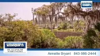 Residential for sale - 79 Petigru Drive, Beaufort, SC 29902