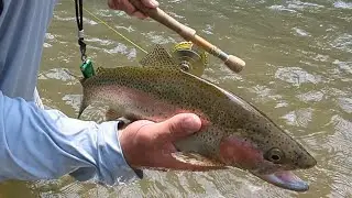 Beautiful Float Down the Eleven Point River in Missouri