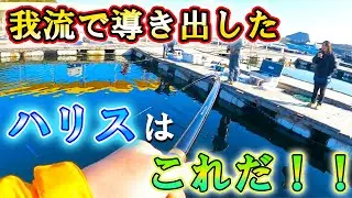 【海上釣堀】「水宝」魚種問わず年中このハリスで戦い続ける！！！