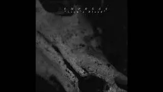 Empress - Lion's Blood (Single 2020)