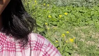 Ghar ki Organic Kheti🥬