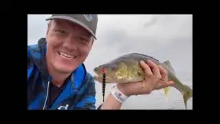 Bloodline Adventures reviews fishing lures created by Lucky Bug Lure Co