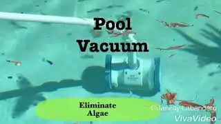 Eco Shark 1 penny pool pump cleaning swimming pool -  Amazing