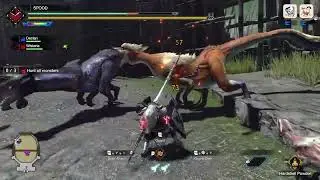 Monster Hunter perfect Double Kill