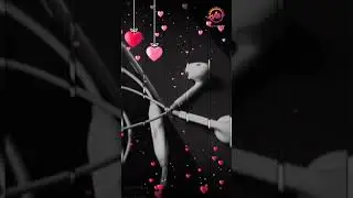 Areej name whatsapp status ❣️