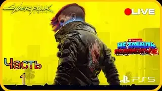 🟡LIVE Cyberpunk 2077 Часть 1 #Platinum Hunter