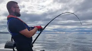 Small Boat Fishing UK - COMMON SKATE North east Scotland Fraserburgh