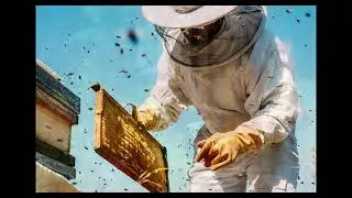Living with Bees -A Conversation with a thoughtful  Bee Keeper -  Part One