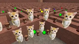 El Gato Cat Gmod Nextbot Chasing Me in The Maze - Escape or Fight Back? | Garry's Mod