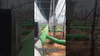 Artificial Greenhouse Heating System for Cold Weather Protection