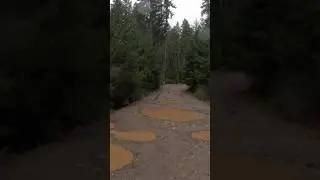 Wonderful Trail Run | Tahuya and Rock Garden Loop 🏃 #running #lofi #asmr #trailrunning #rain