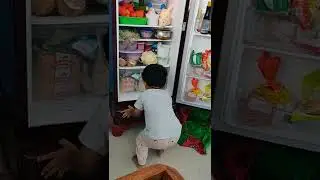 😭😭 fridge climb shouting for falling down..