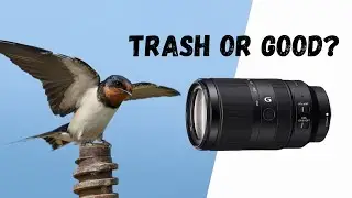Sony E 70-350mm G OSS | Powerful Telephoto Lens for APS-C on a Budget | Sony A6700