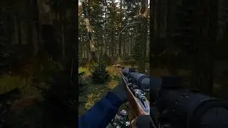 They broke the main rule in DayZ.