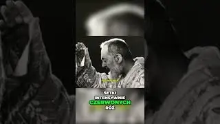 Msza w rocznicę stygmat&oacute;w  Cicha Celebracja Wiary #shotsviral  #spokoj #spokojna