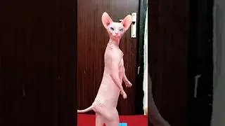 #horror 👹👹👹👹