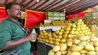 Largest Mango Market - Bangalore - Buy Fresh Mangos At Wholesale Price - Gayathri Reddy Vlogs🥭😋