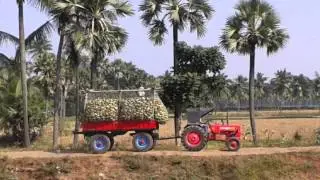 beautiful andhra village
