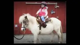 Unique Kids Birthday Parties Vancouver | Rent A Pony | 604-928-7148