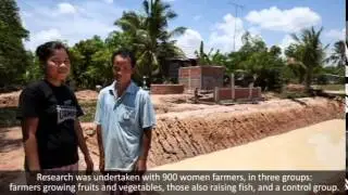 Cambodia: Fortifying diets with fish on farms