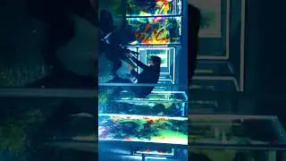 &ldquo;The Unyielding Assassin: John Wick in Action | #action