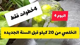 4خطوات كيف تخسري 20 كيلو  قبل السنة الجديدة/ تحدي نوفمبر يوم4
