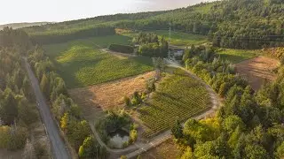 Averill Creek Vineyard Winery | 6552 North Road Duncan, BC