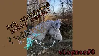 vlogmas #8- tutorial jak cieniowac hobby horse (po polsku)