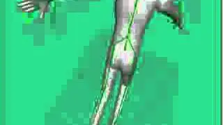 Sims 3 Animation 1