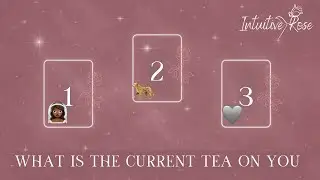 Что сейчас с тобой происходит?**Выберите карту**👰🏾‍♀️🐆🩶🌹✨