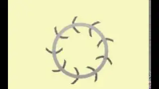 Fans - Forward Curved