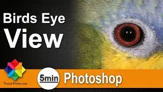 Bird Eye View #5 minutes Photoshop