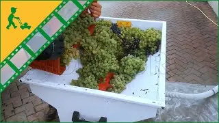 Utilisation du Fouloir &eacute;grappoir AgriEuro Top Line K25AP INOX 2,5 CV &eacute;lectrique