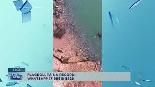 Flagrou T&aacute; na Record: Peixes mortos em Barbosa