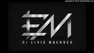 Mix PerroFiel-HulaHoop-ElAmante DJ Elvis Machuca